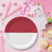 Assiettes En Carton Drapeau de Monaco (Fête)