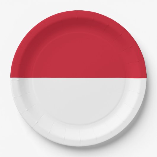 Assiettes En Carton Drapeau de Monaco (Devant)