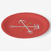 Assiettes En Carton Drapeau de Saint-Pétersbourg (Russie) (Angle)