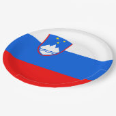Assiettes En Carton Drapeau de Slovénie (Angle)