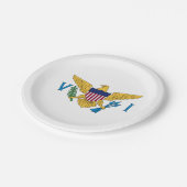 Assiettes En Carton Drapeau des îles Vierges américaines patriotiques (Angle)