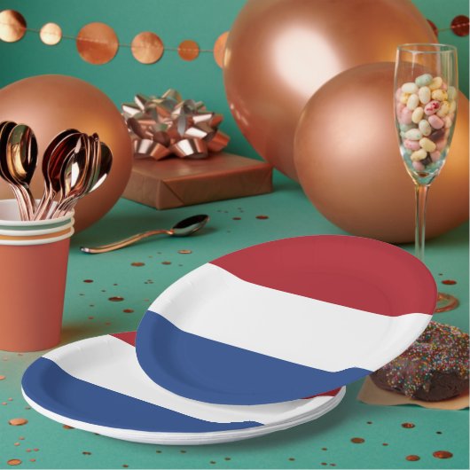 Assiettes En Carton Drapeau des Pays-Bas (Multi)