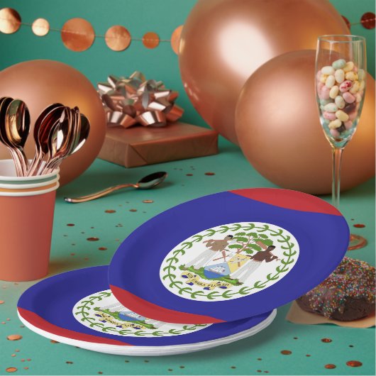 Assiettes En Carton Drapeau du Belize (Multi)