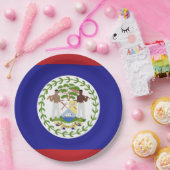 Assiettes En Carton Drapeau du Belize (Fête)