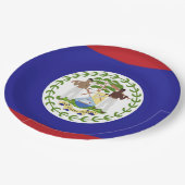 Assiettes En Carton Drapeau du Belize (Angle)