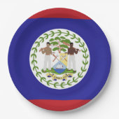 Assiettes En Carton Drapeau du Belize (Devant)