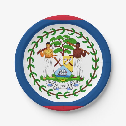Assiettes En Carton Drapeau du Belize (Devant)
