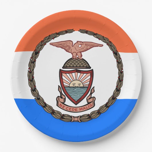 Assiettes En Carton Drapeau du Bronx (arrondissement de New York) (Devant)