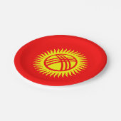 Assiettes En Carton Drapeau du Kirghizistan (Angle)