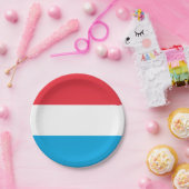 Assiettes En Carton Drapeau du Luxembourg (Fête)