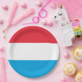 Assiettes En Carton Drapeau du Luxembourg (Fête)