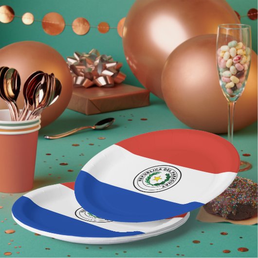 Assiettes En Carton Drapeau du Paraguay (Multi)