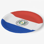 Assiettes En Carton Drapeau du Paraguay (Angle)