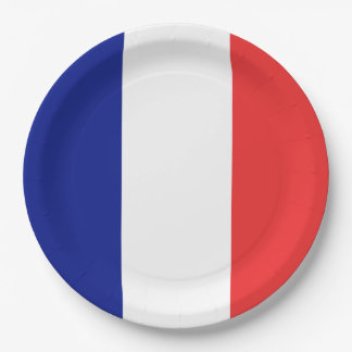 Assiettes En Carton Drapeau français Tricolore