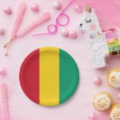 Assiettes En Carton Drapeau Guinée (Fête)