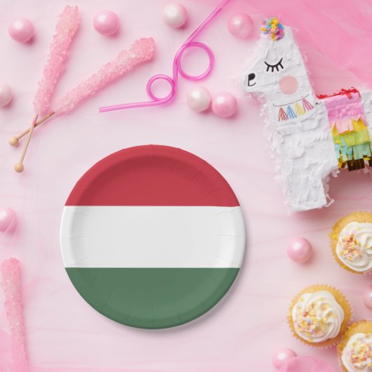 Assiettes En Carton Drapeau Hongrie (Fête)