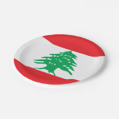 Assiettes En Carton Drapeau libanais (Angle)
