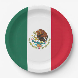 Assiettes En Carton Drapeau Mexique Tricolore