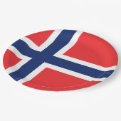 Assiettes En Carton Drapeau Norvège (Angle)