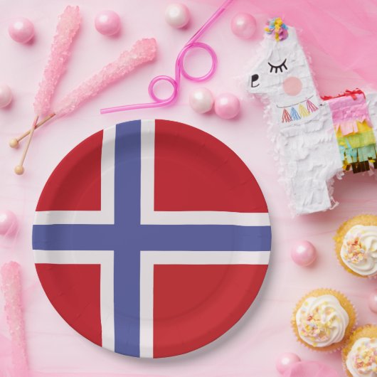 Assiettes En Carton Drapeau norvégien (Fête)