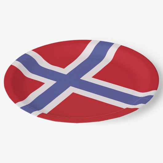 Assiettes En Carton Drapeau norvégien (Angle)