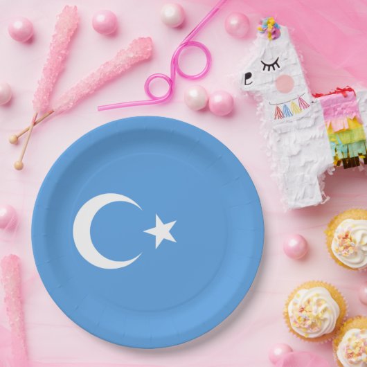 Assiettes En Carton Drapeau ouïghour du Turkestan oriental (Uyghurista (Fête)