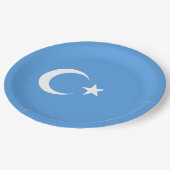 Assiettes En Carton Drapeau ouïghour du Turkestan oriental (Uyghurista (Angle)