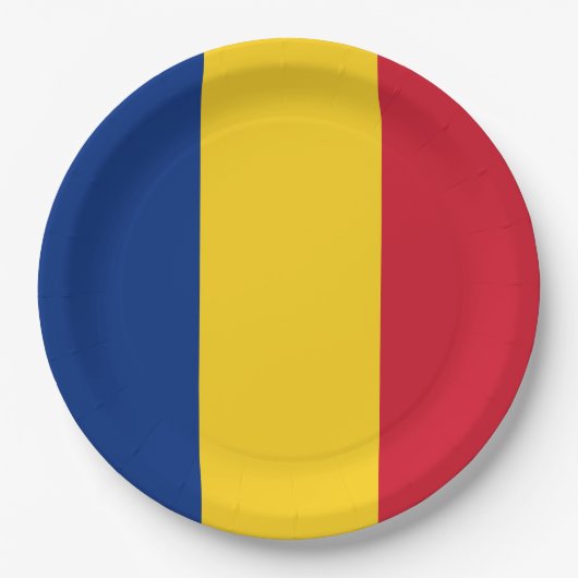 Assiettes En Carton Drapeau roumain (Devant)