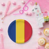 Assiettes En Carton Drapeau roumain (Fête)