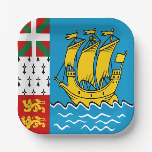 Assiettes En Carton Drapeau Saint-Pierre-et-Miquelon (Recto)