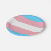 Assiettes En Carton Drapeau transgenre (Angle)