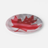 Assiettes En Carton Drapeaux américains et canadiens (Angle)