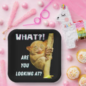 Assiettes En Carton Drôle Big Eyed Tarsier Ce que vous regardez (Fête)