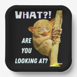 Assiettes En Carton Drôle Big Eyed Tarsier Ce que vous regardez