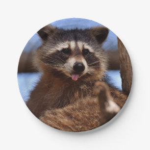 Assiettes En Carton Drôle Raccoon Sticking It's Tongue Out