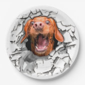 Assiettes En Carton Drôle visage chien (Devant)