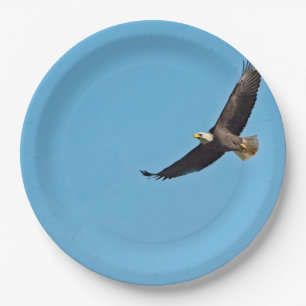 Assiettes En Carton Eagle chauve 7