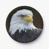 Assiettes En Carton Eagle chauve américain (Devant)