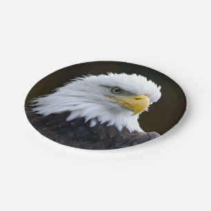 Assiettes En Carton Eagle chauve américain