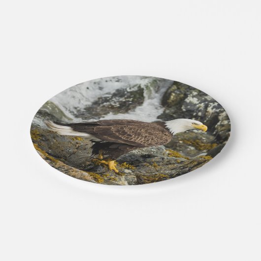 Assiettes En Carton Eagle chauve fier (Angle)