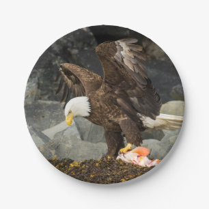 Assiettes En Carton Eagle chauve final