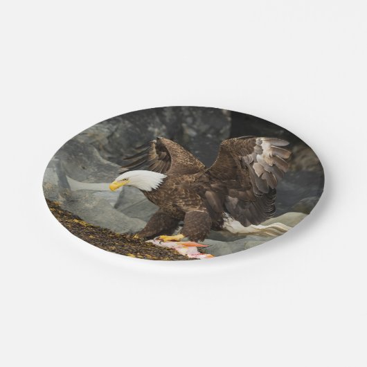 Assiettes En Carton Eagle chauve final (Angle)