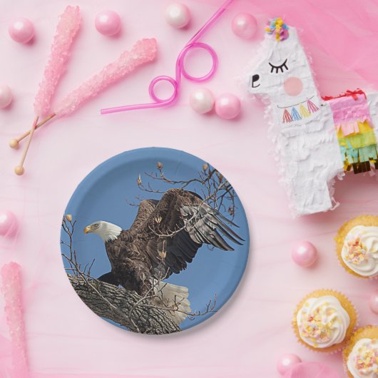Assiettes En Carton Eagle chauve sur une branche d'arbre (Fête)