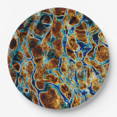 ASSIETTES EN CARTON EAU (Devant)