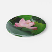 Assiettes En Carton Eau rose (Angle)