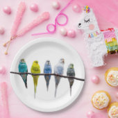 Assiettes En Carton Économies (Fête)