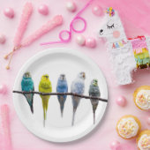 Assiettes En Carton Économies (Fête)