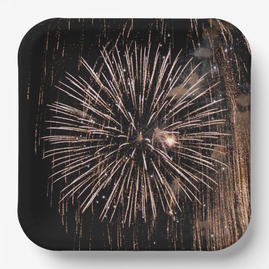 Assiettes En Carton Écran Fireworks Sur Ciel Noir (Recto)
