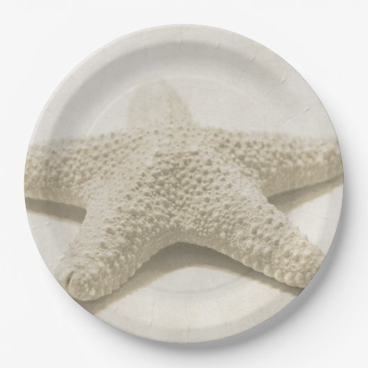 Assiettes En Carton Écre (Devant)