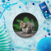 Assiettes En Carton Écureuil aux cacahuètes (Fête)